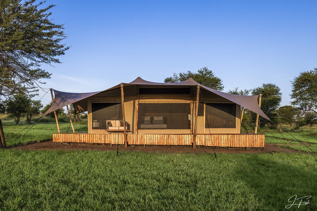Anantya Serengeti safari tent for a Tanzania honeymoon