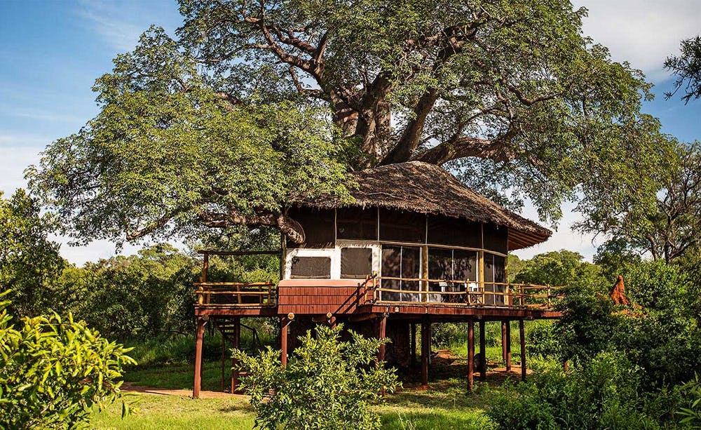 Elewana Tarangire Treetops lodge for a Tanzania honeymoon