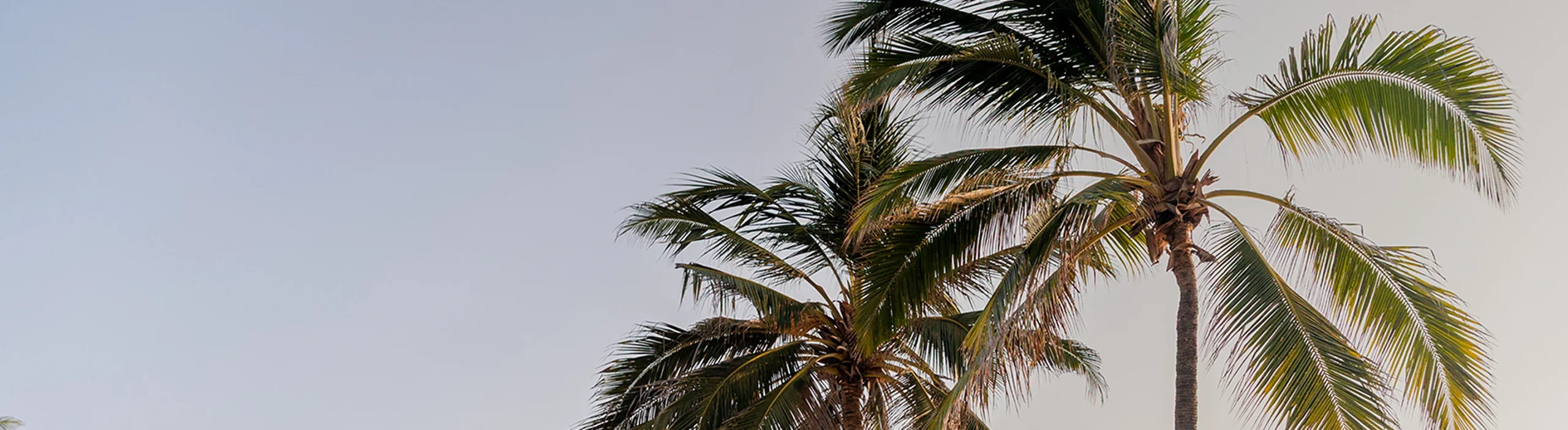 Hemingways Watamu