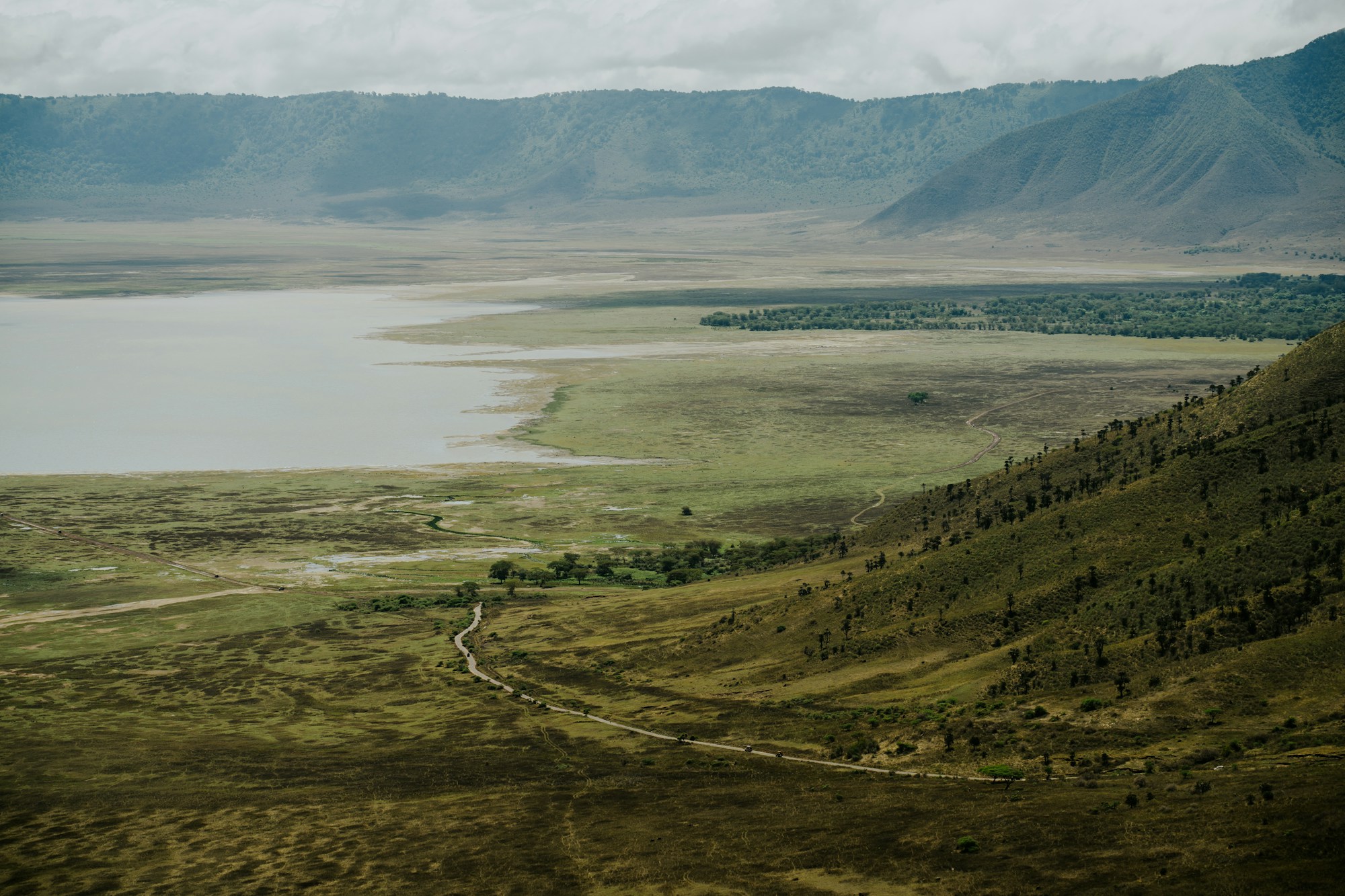 Panoramic view across Ngorongoro Crater in Tanzania