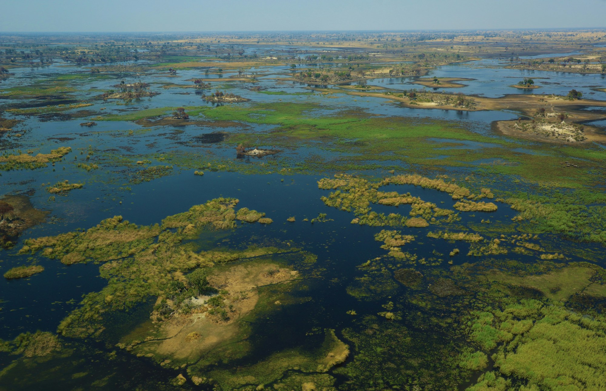 Okavango Delta channels and islands in Botswana
