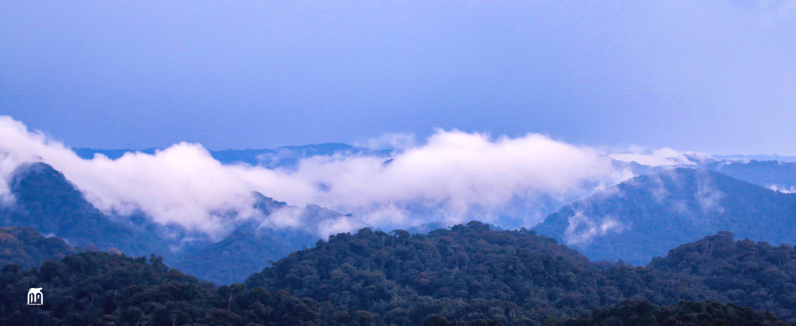 Nyungwe Forest in Rwanda