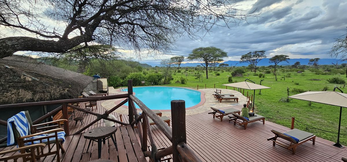 Tarangire Simba Lodge for a Tanzania honeymoon